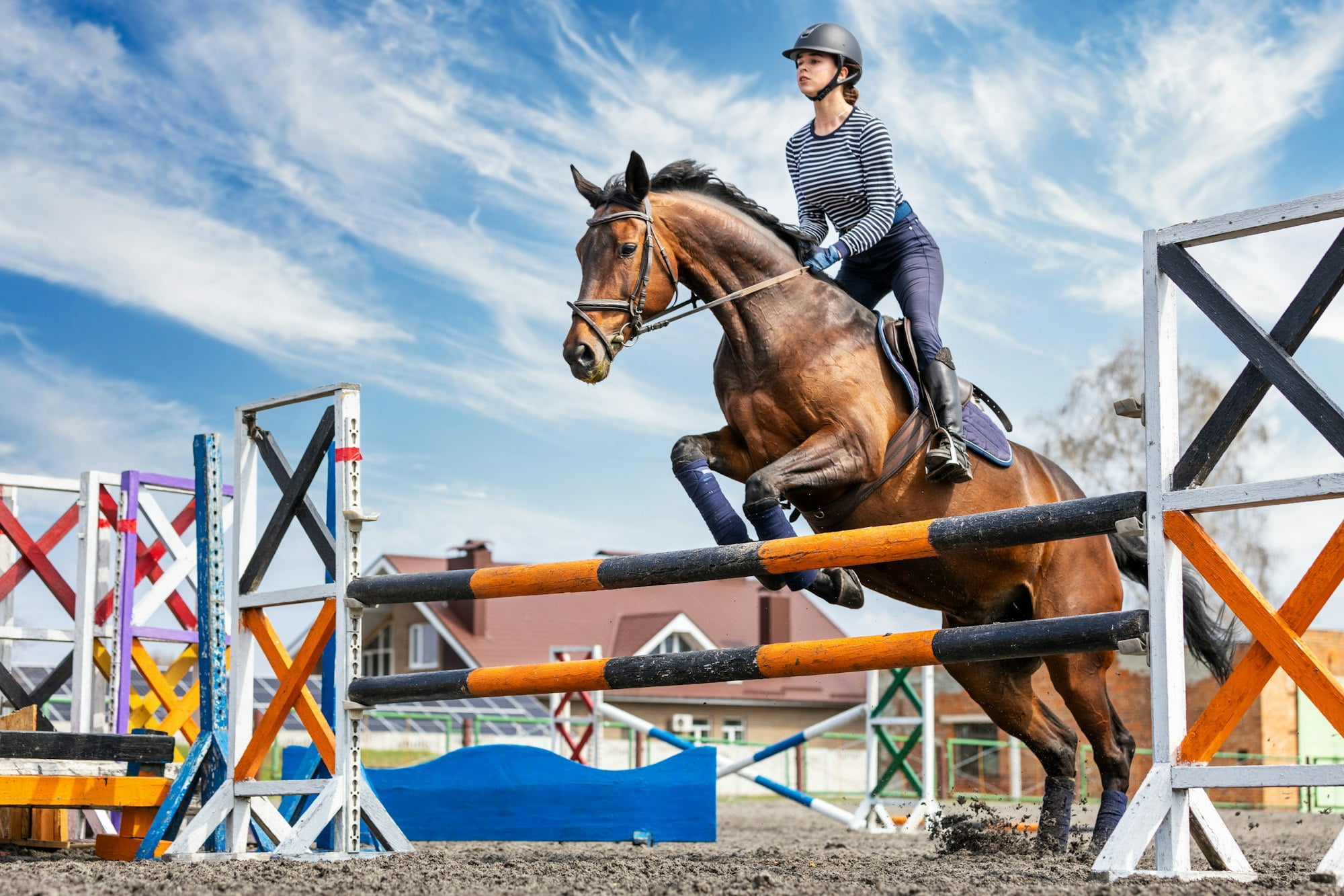 Equestrian sport. Show jumping competition. Young rider horseback girl jumping over an obstacle